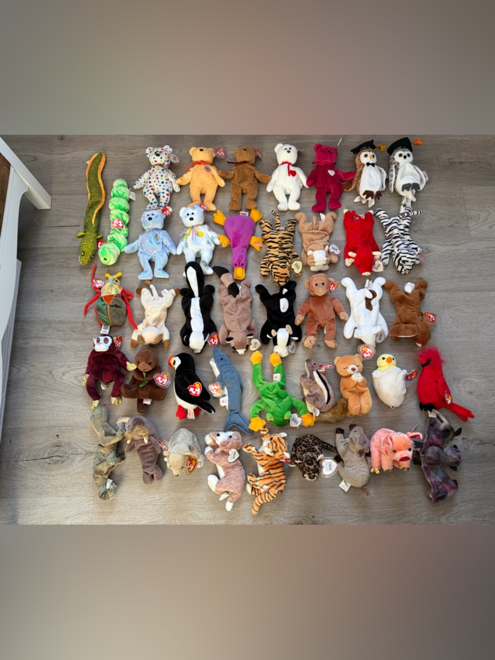 Ty Beanie Baby Collection - 42 pieces
